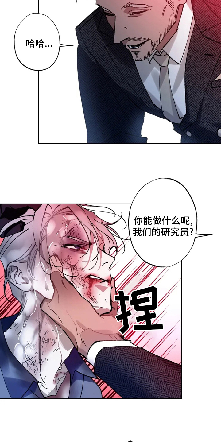 异常现象小说全文免费阅读无弹窗漫画,第28章：物尽其用2图