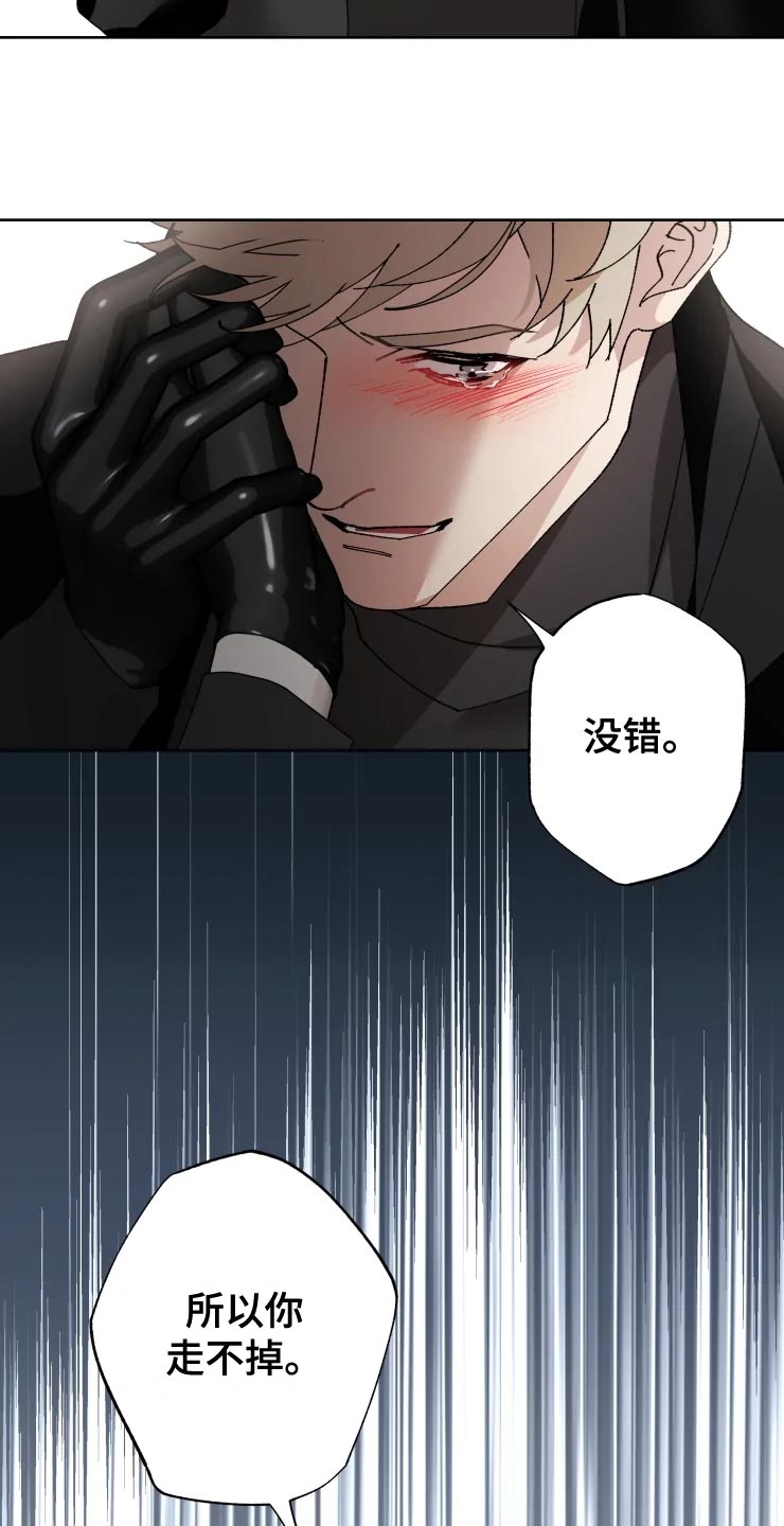 异常现象观察日志漫画,第53章：唯一的家人2图