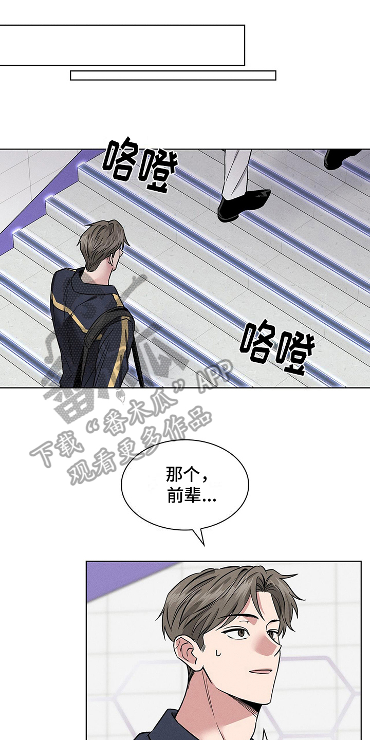 星星有你漫画漫画,第19章：违法1图