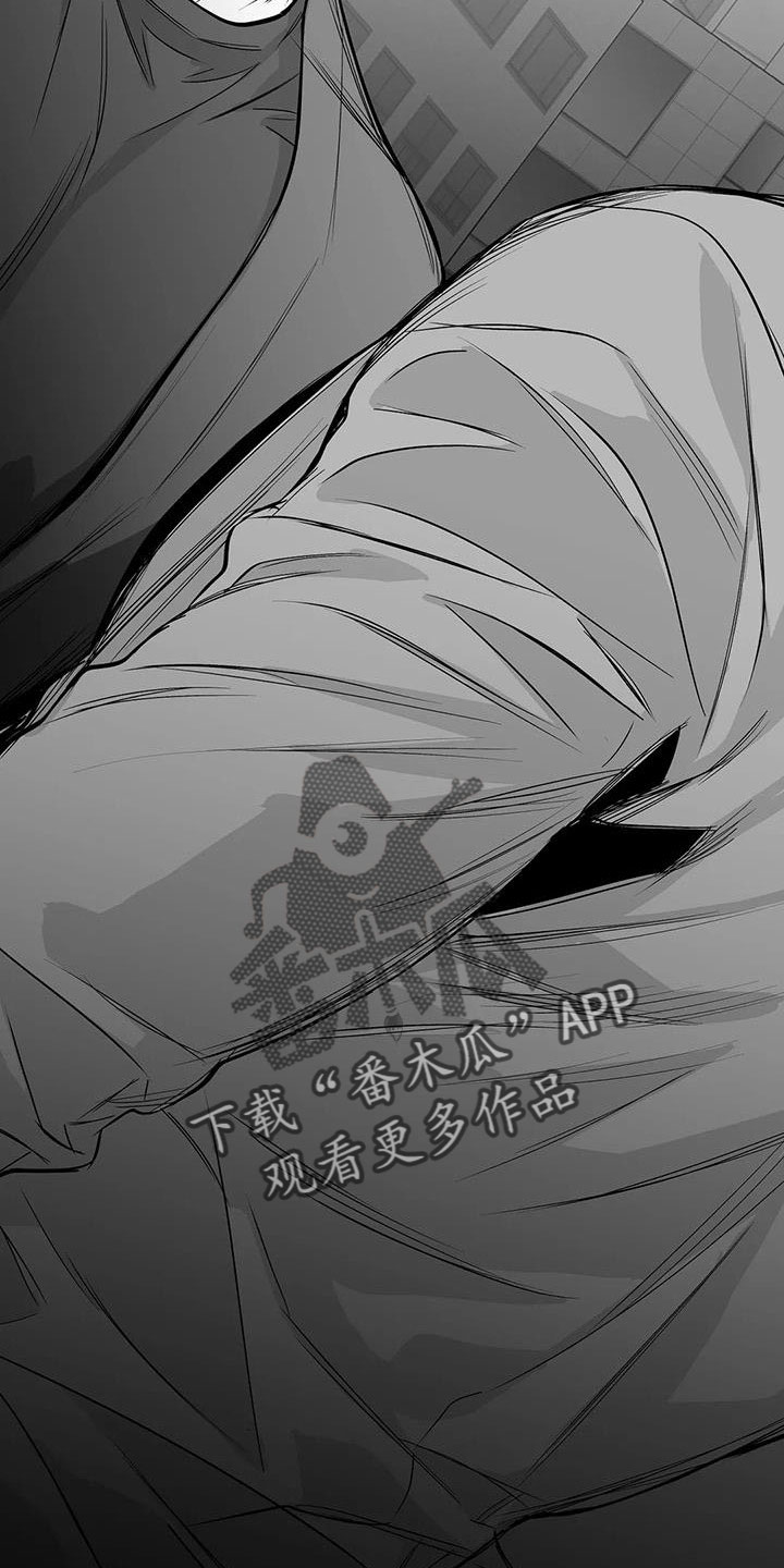 拳击手漫画,第219章：【第三季】帮你治腿1图