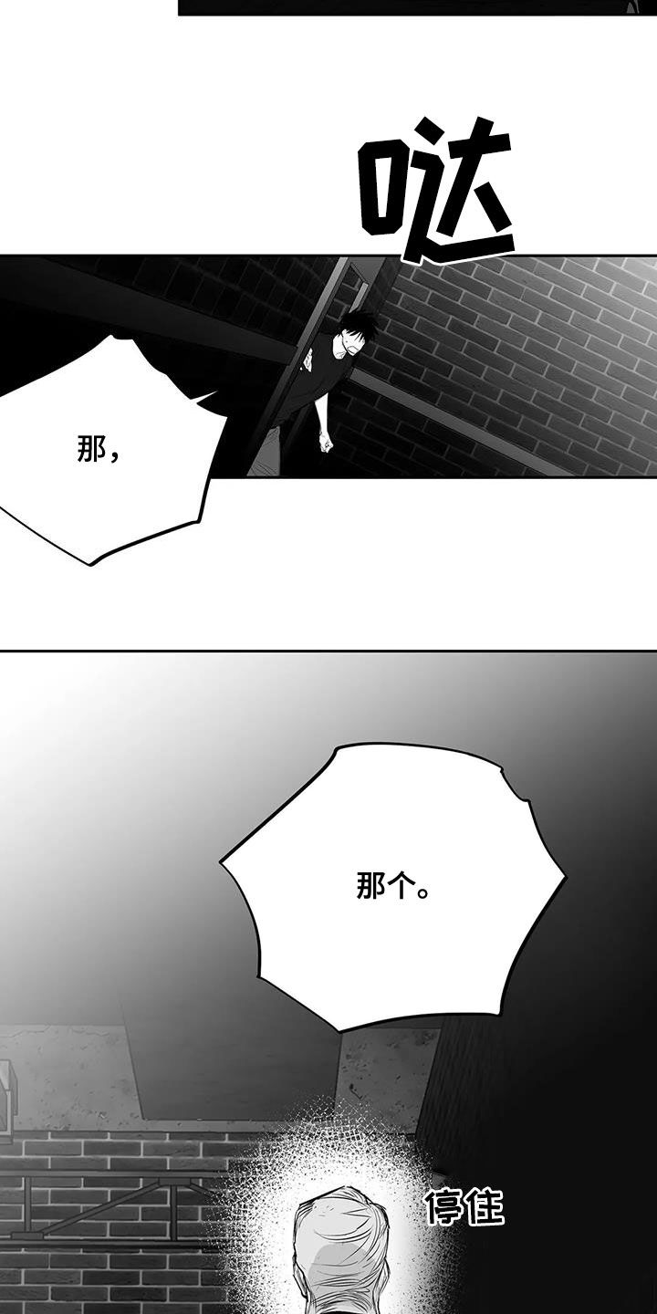 拳击手漫画,第168章：【第三季】素不相识2图