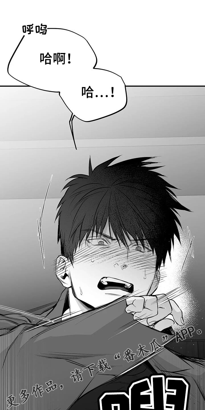 拳击手漫画,第206章：【第三季】耍我啊1图