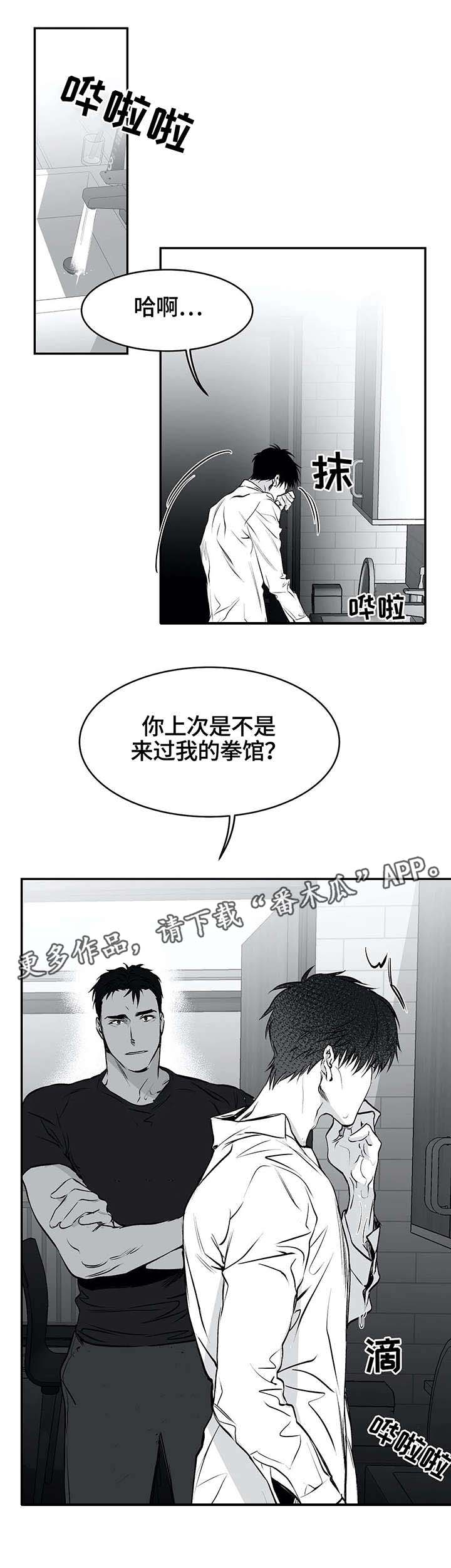 拳击手漫画,第21章：嫉妒2图