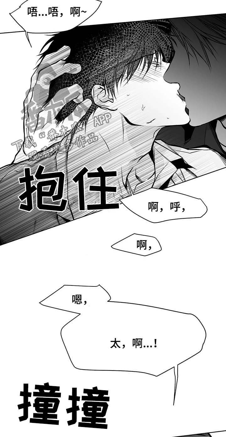 拳击手漫画,第71章：都说不要1图