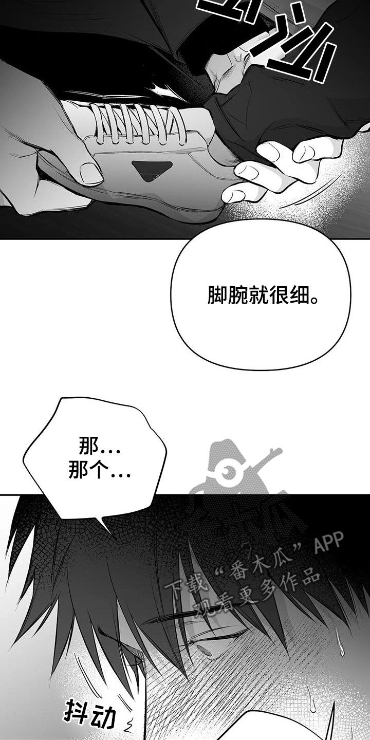 拳击手漫画,第177章：【第三季】你再多说点2图