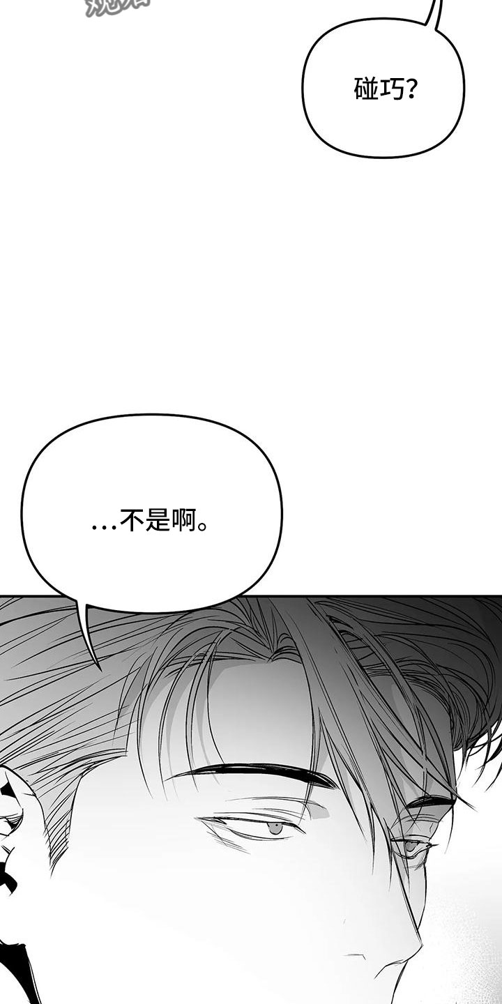 拳击手漫画,第202章：【第三季】今天不忙1图