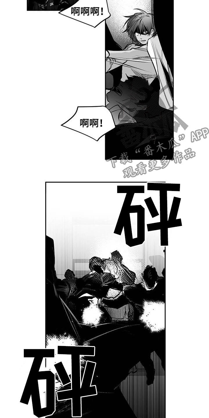 拳击手漫画,第160章：【第三季】亲自收拾1图