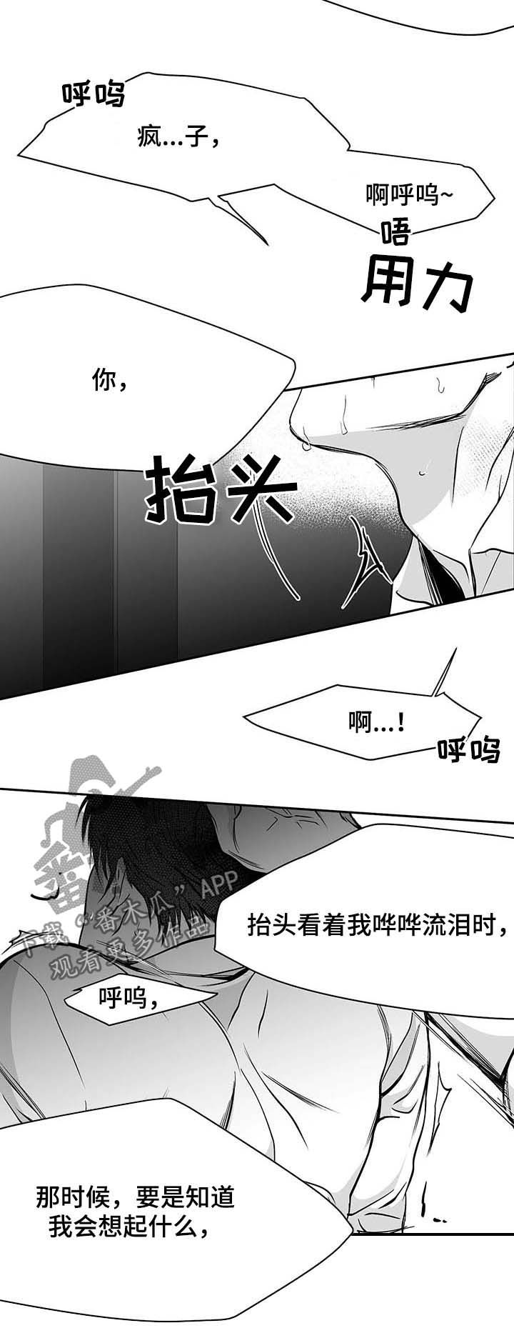 拳击手漫画,第71章：都说不要2图