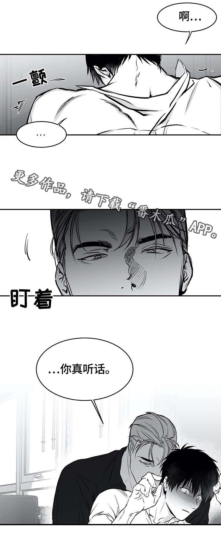 拳击手漫画,第26章：空白2图