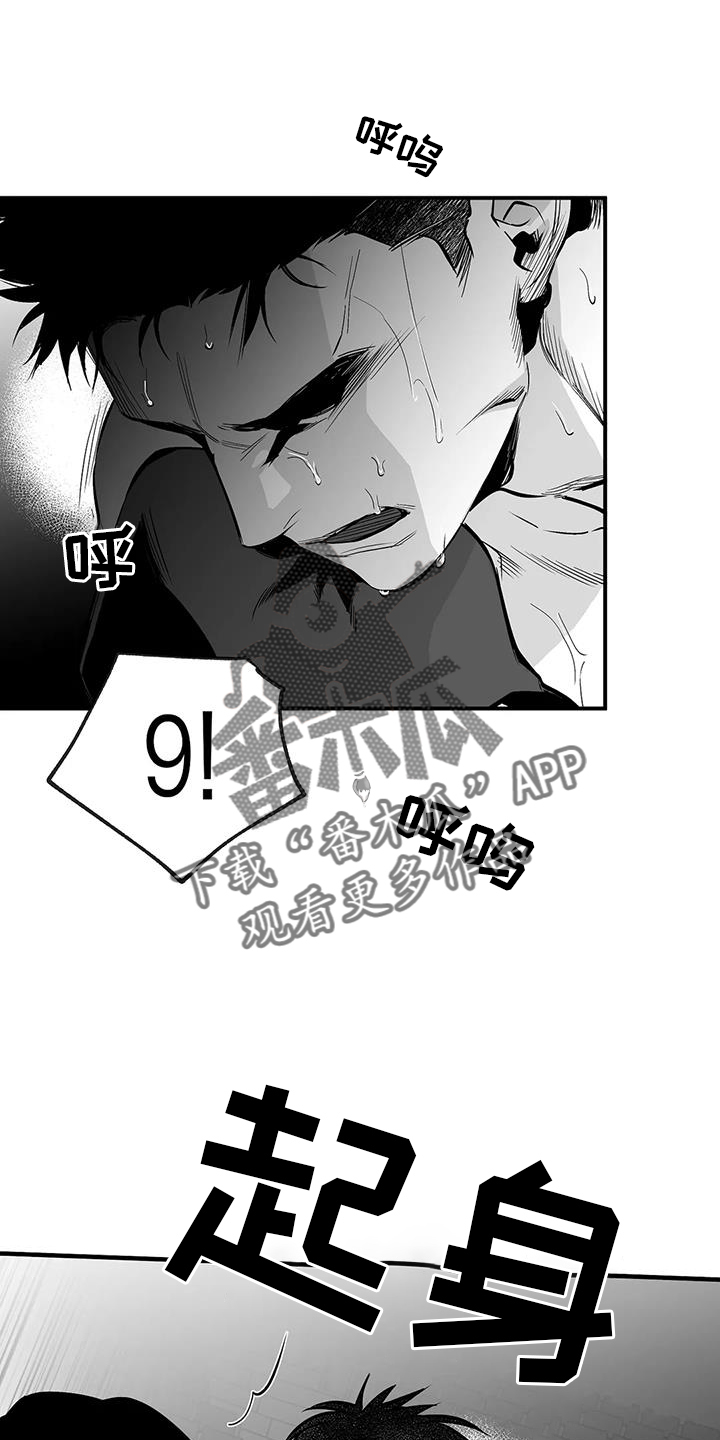 拳击手漫画,第227章：【第三季】站起2图