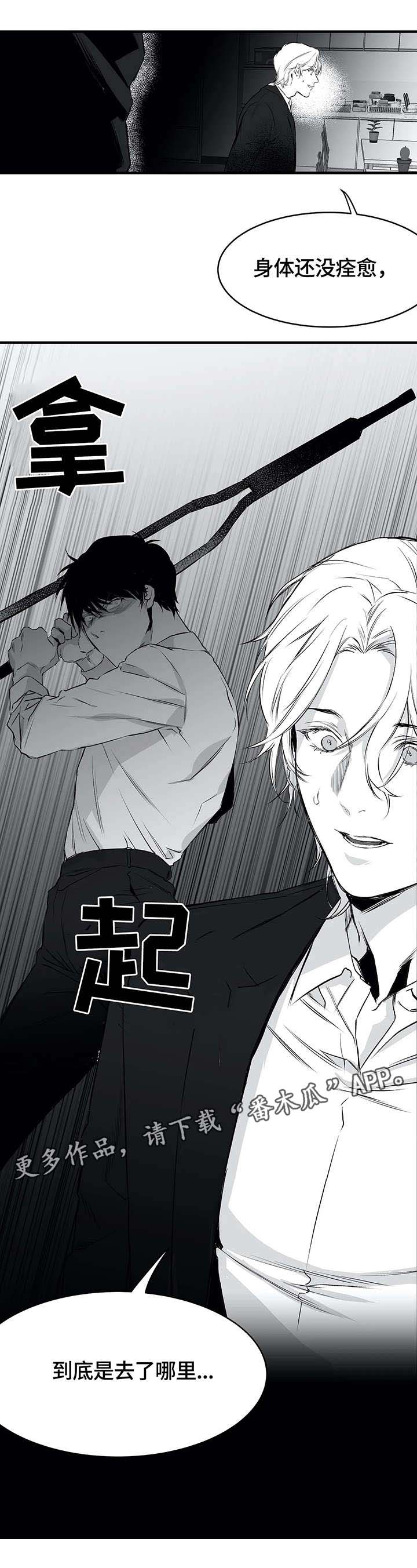 拳击手漫画,第12章：凶狠1图