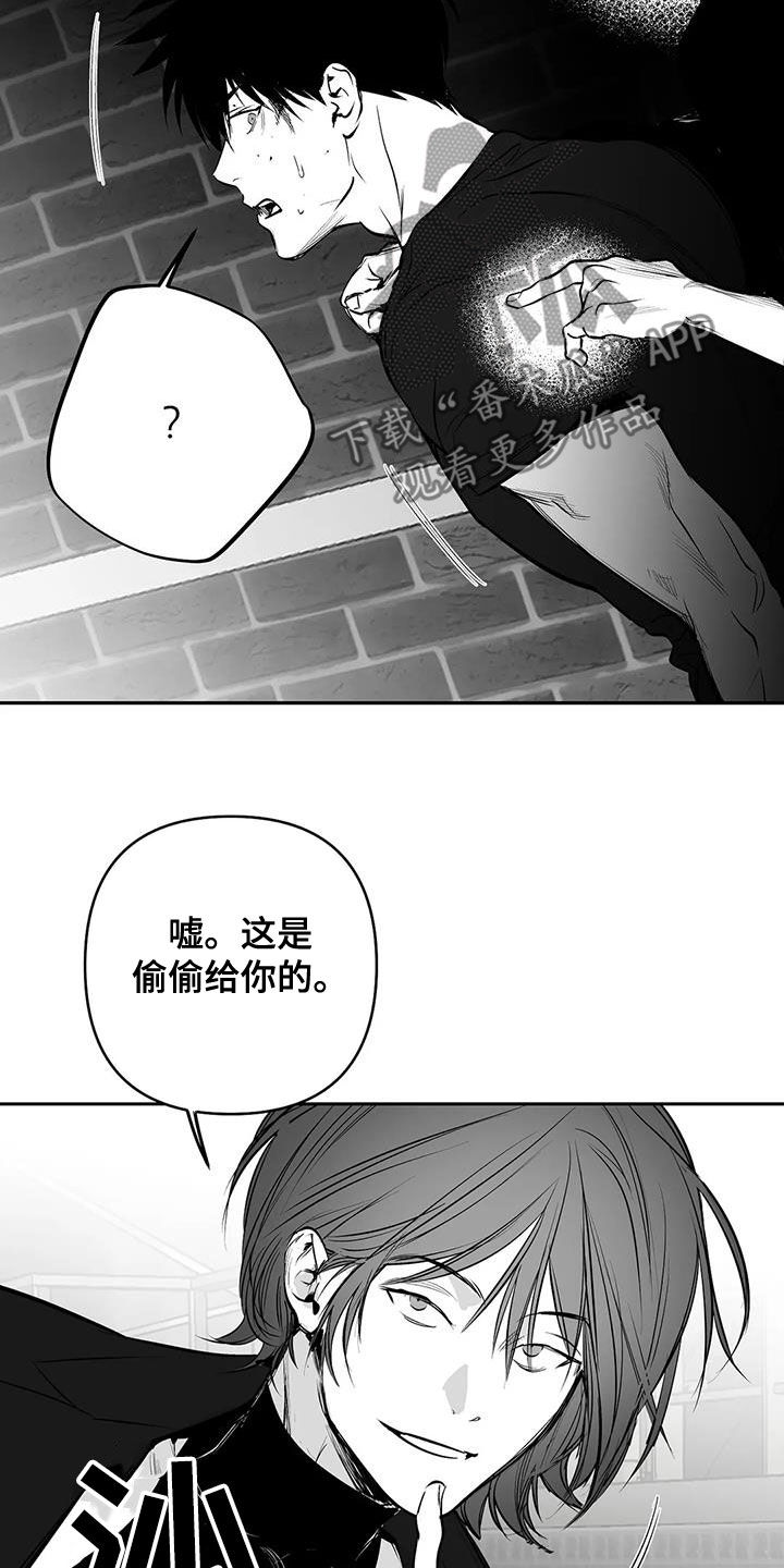 拳击手漫画,第169章：【第三季】还有明天2图