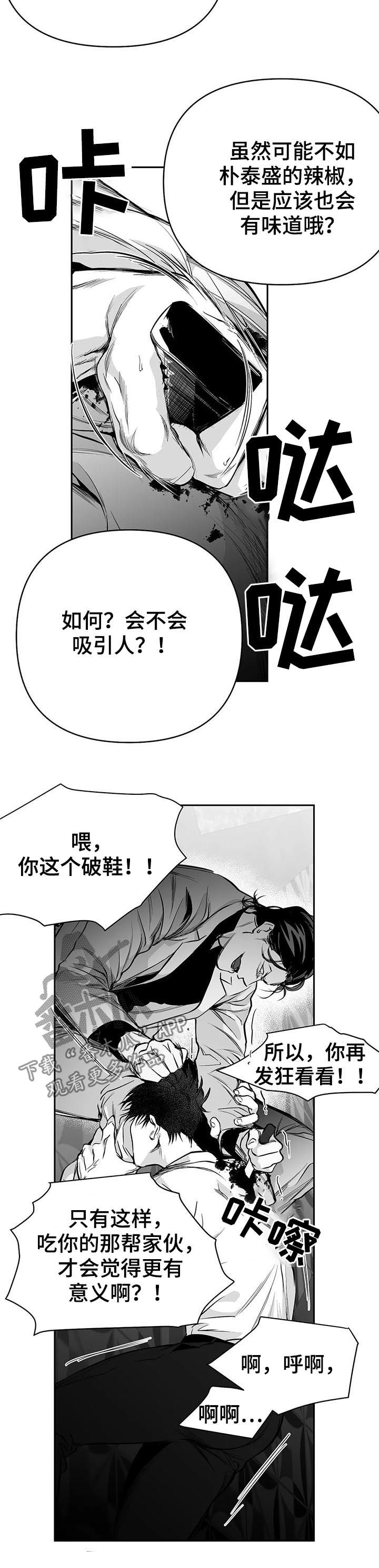 拳击手漫画,第86章：有你的风范2图