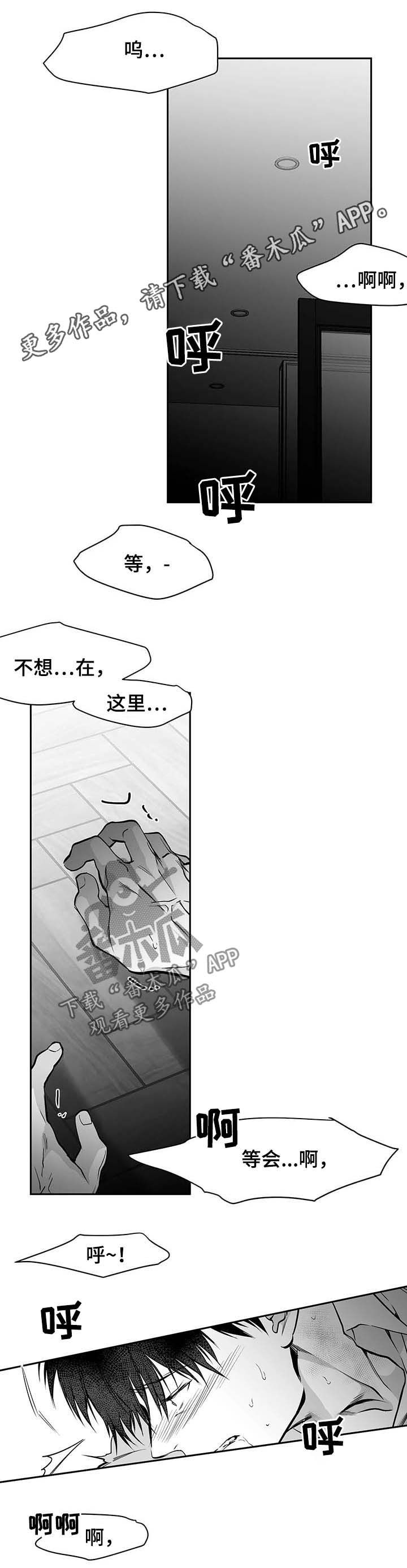 拳击手漫画,第71章：都说不要1图