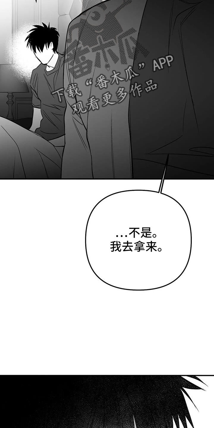 拳击手漫画,第219章：【第三季】帮你治腿1图