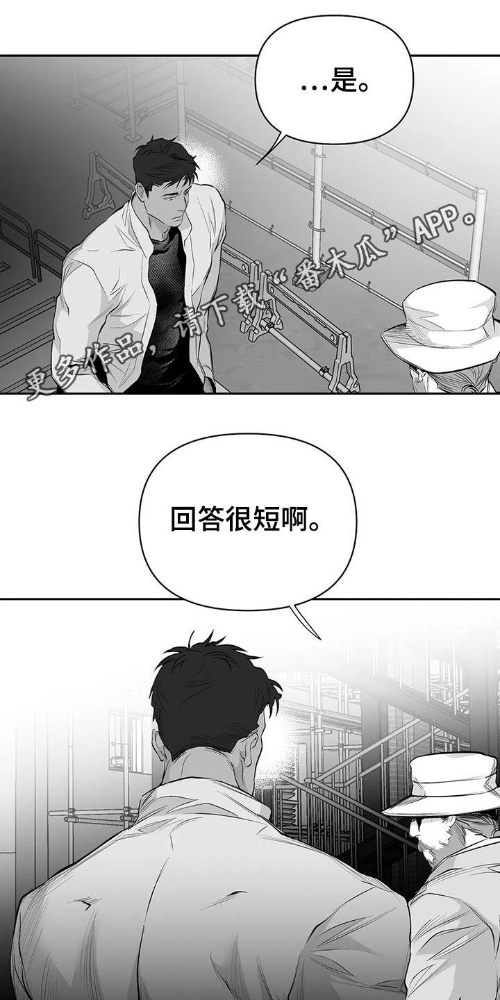 拳击手漫画,第151章：【第三季】死也忘不掉1图