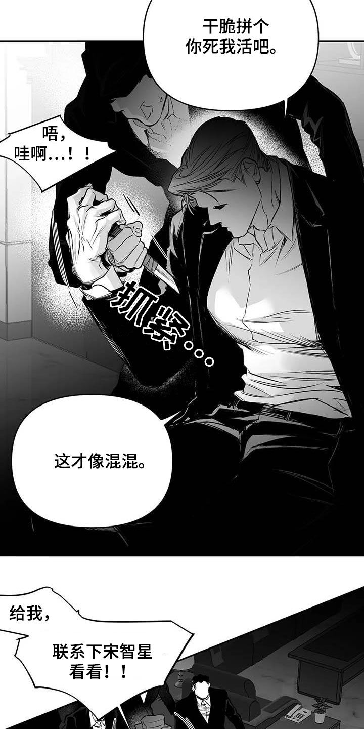 拳击手漫画,第159章：【第三季】拼个你死我活1图