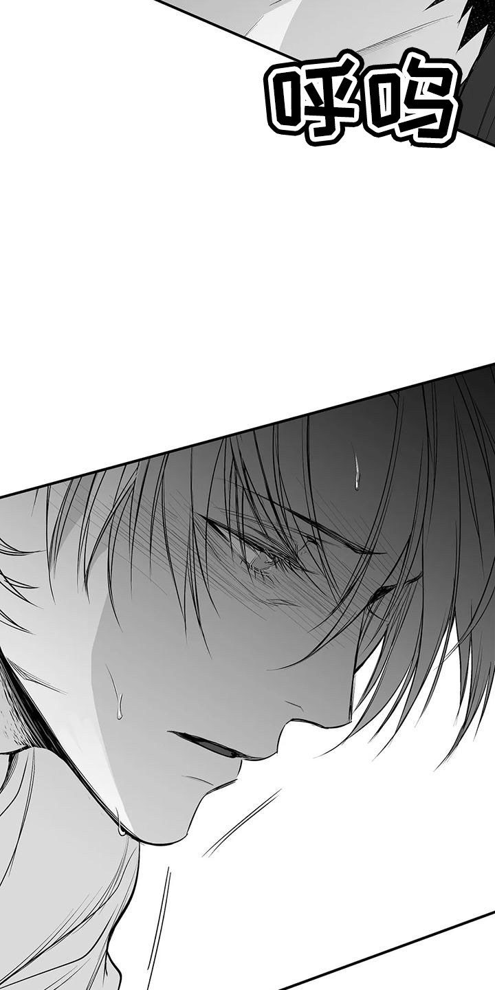 拳击手漫画,第200章：【第三季】开始行动1图