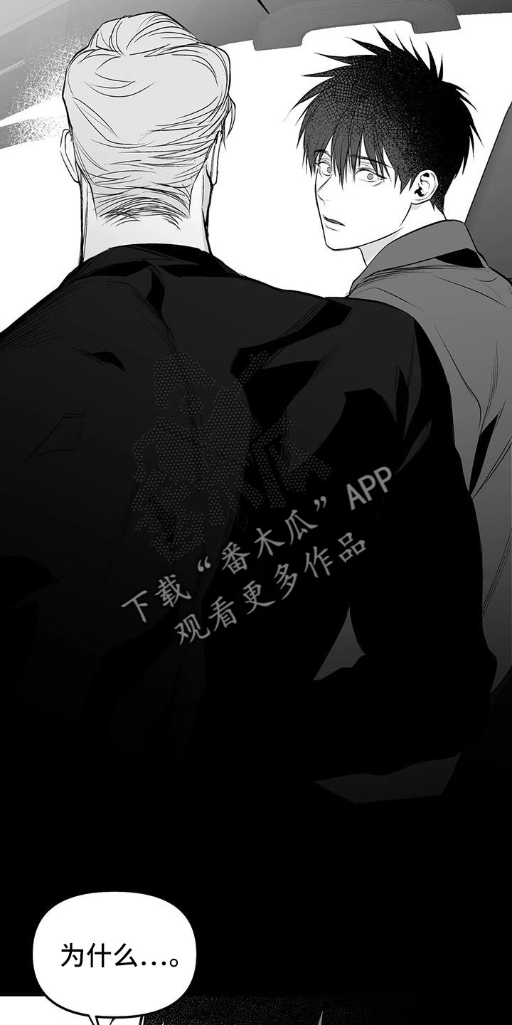 拳击手漫画,第212章：【第三季】条件是什么来着1图