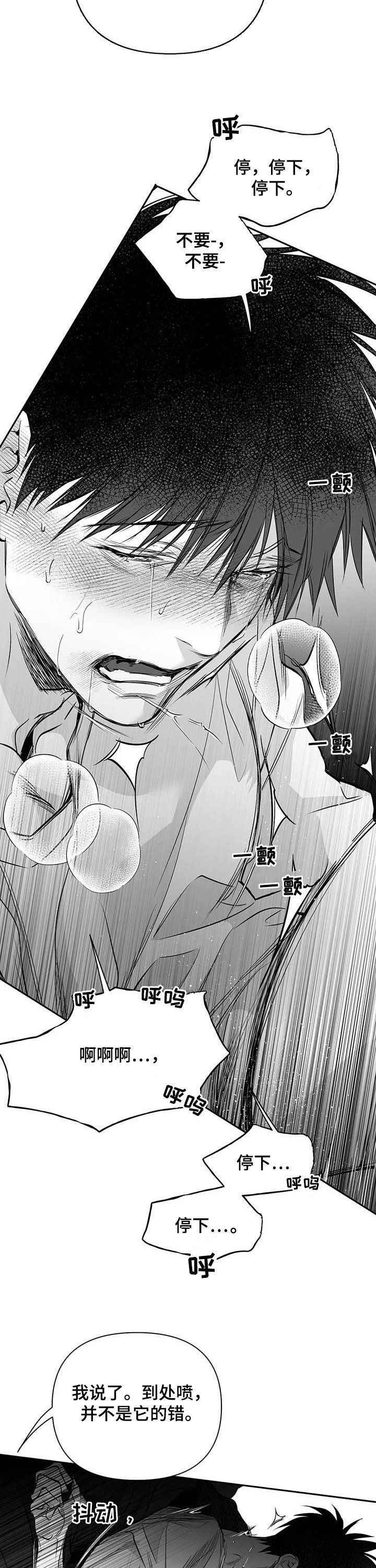 拳击手漫画,第139章：【第二季】你是我的1图