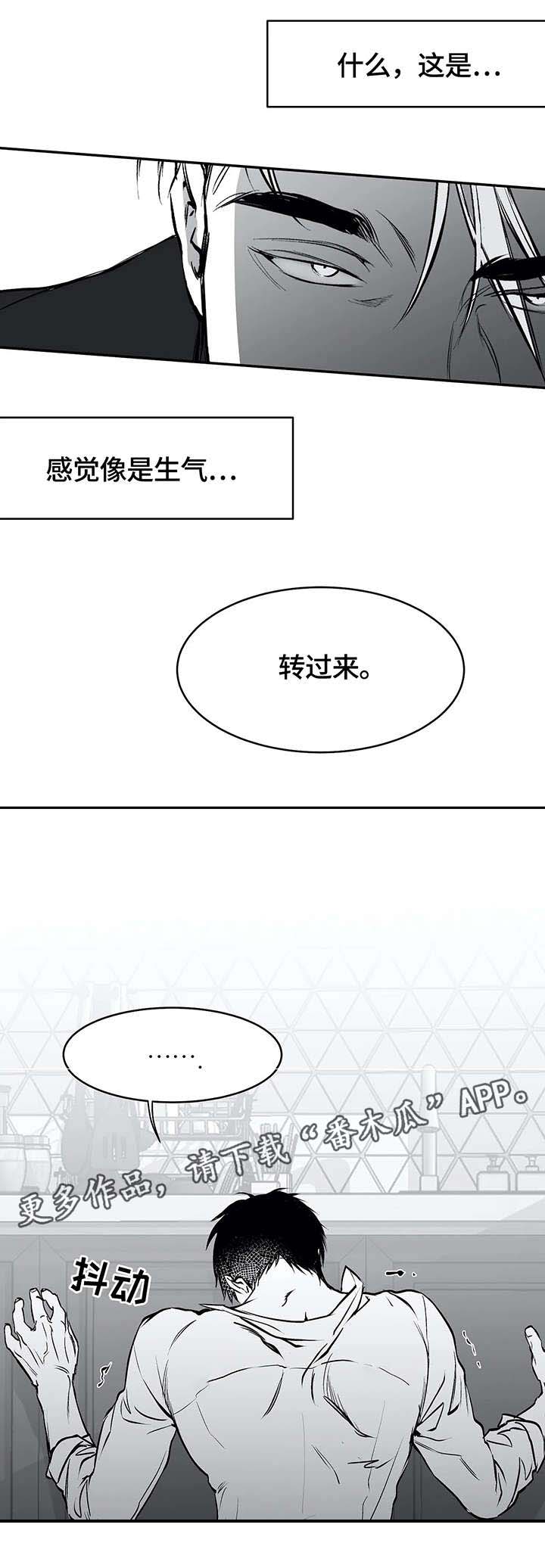 拳击手漫画,第26章：空白1图