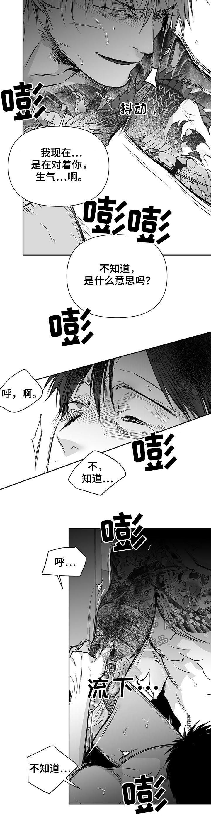 拳击手漫画,第122章：【第二季】一切都会好起来1图