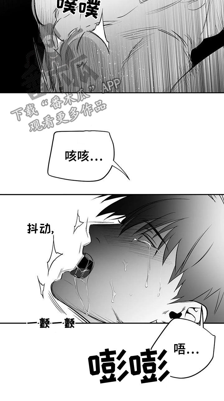 拳击手漫画,第189章：【第三季】很好1图