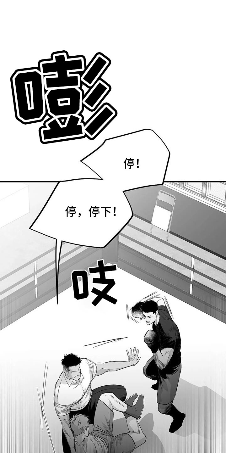 拳击手漫画,第214章：【第三季】那人很危险1图