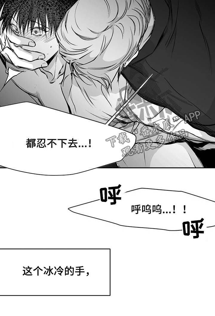 拳击手漫画,第71章：都说不要2图