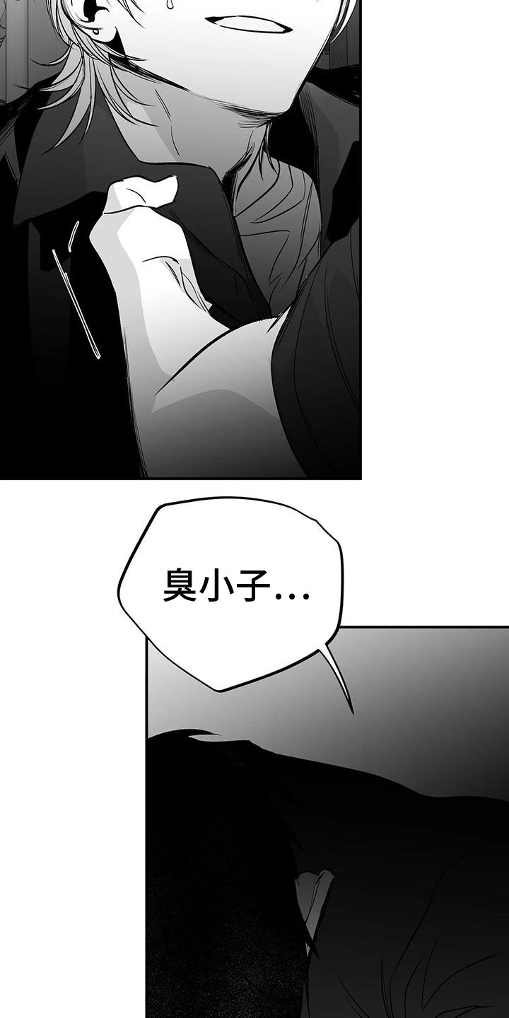 拳击手漫画,第197章：【第三季】你想听吗1图