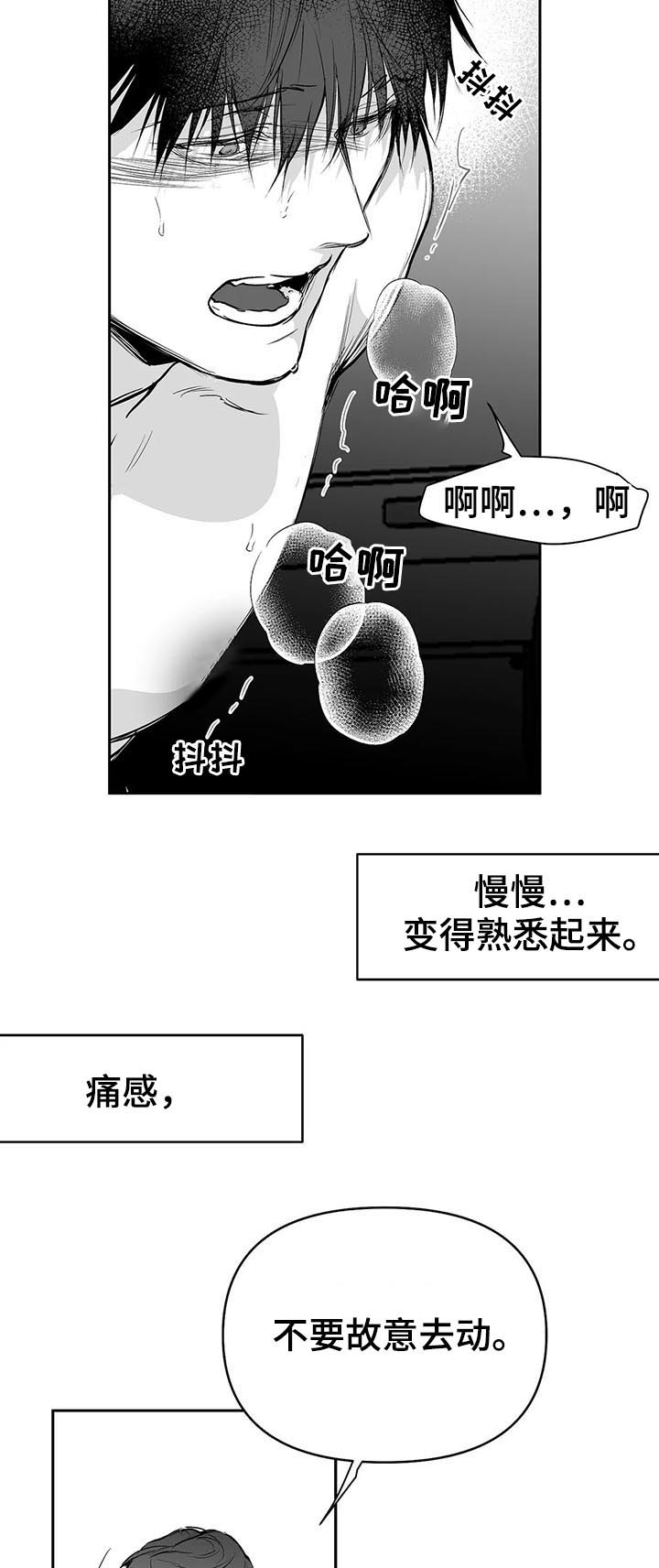 拳击手漫画,第82章：理由充分2图