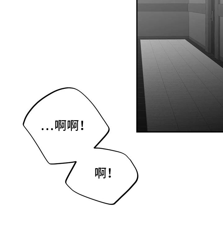 拳击手漫画,第216章：【第三季】不适合你1图