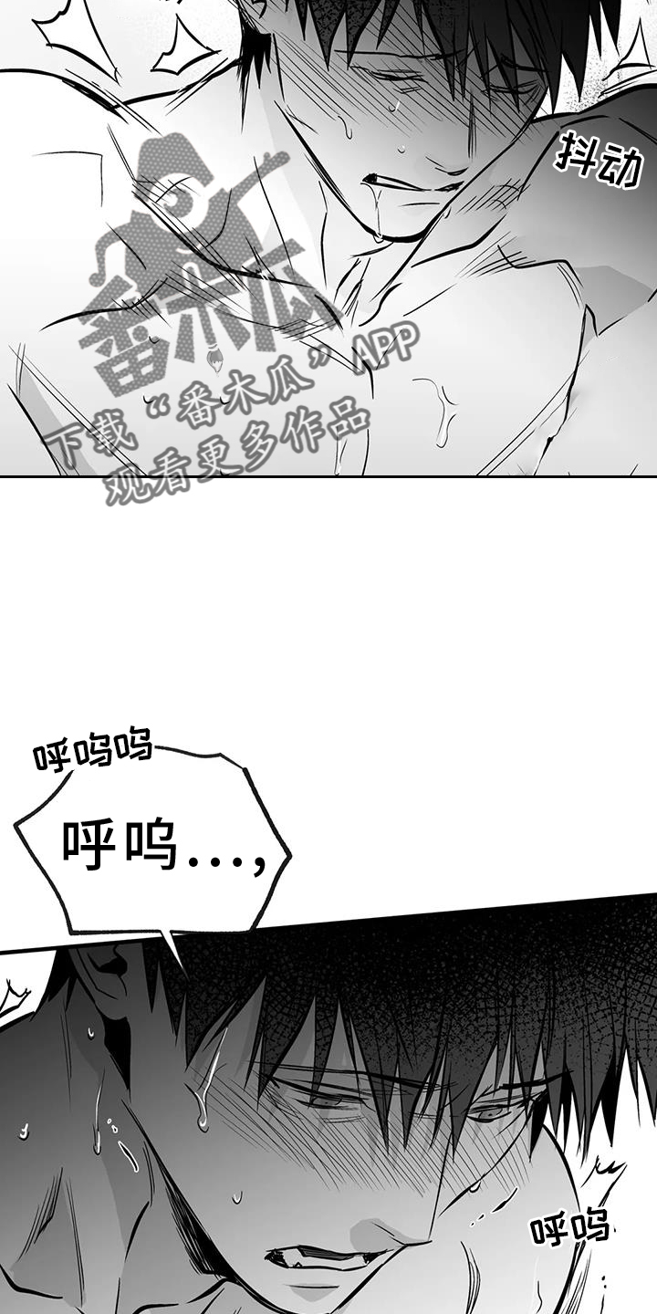 拳击手漫画,第235章：【第三季】别动2图