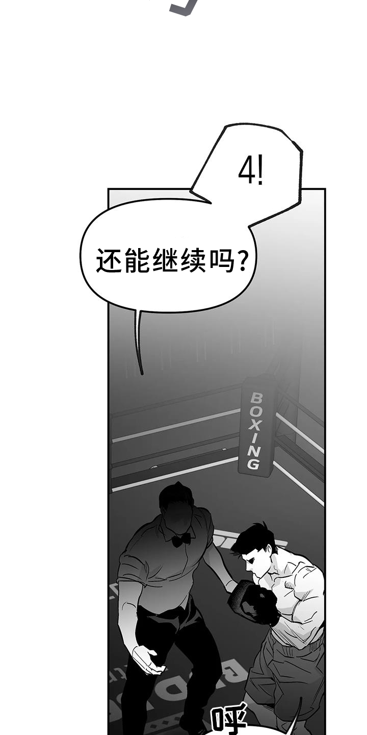 拳击手漫画,第227章：【第三季】站起1图