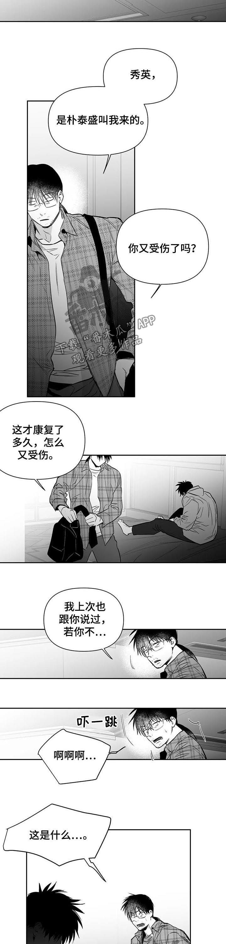 拳击手漫画,第130章：【第二季】消灭混混2图