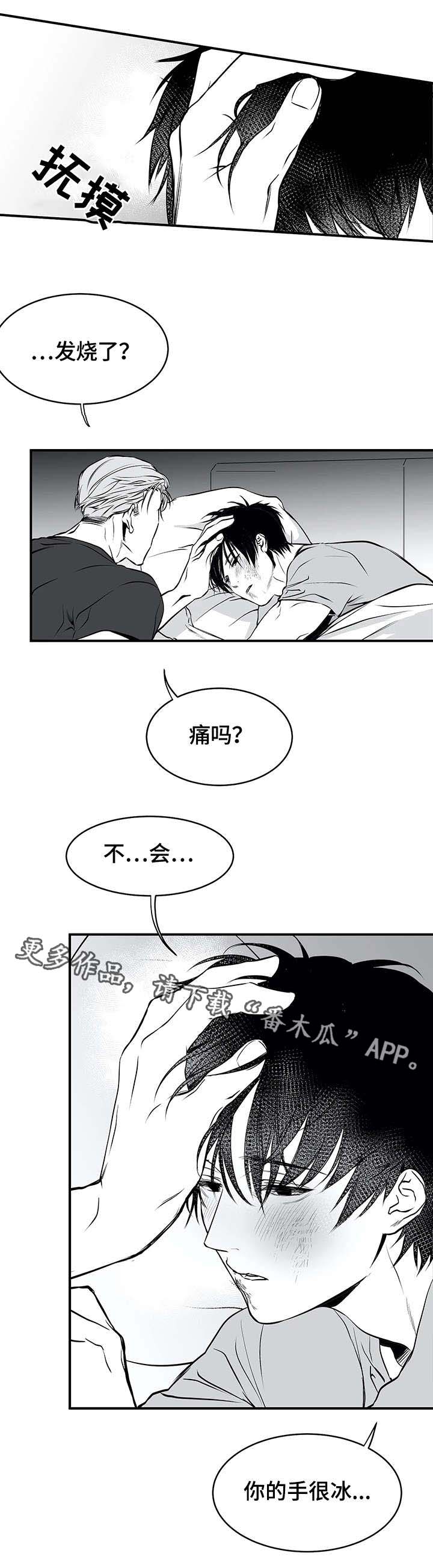 拳击手漫画,第18章：名字2图