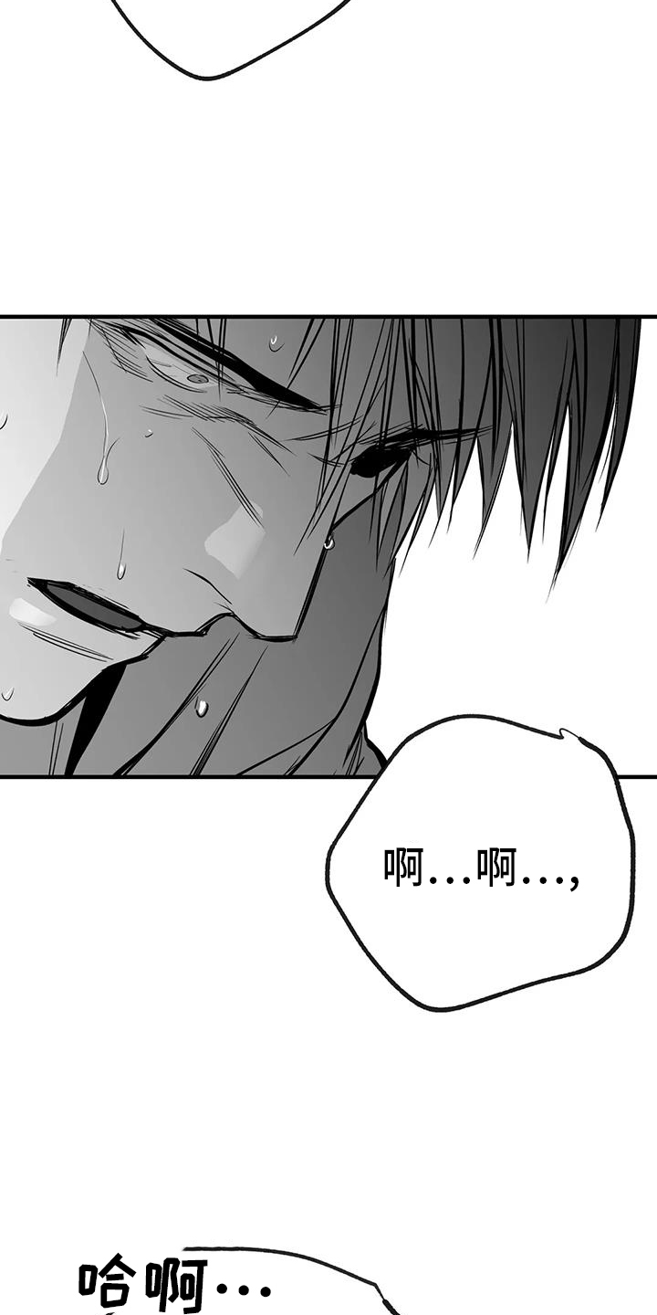 拳击手漫画,第237章：【第三季】闪耀1图