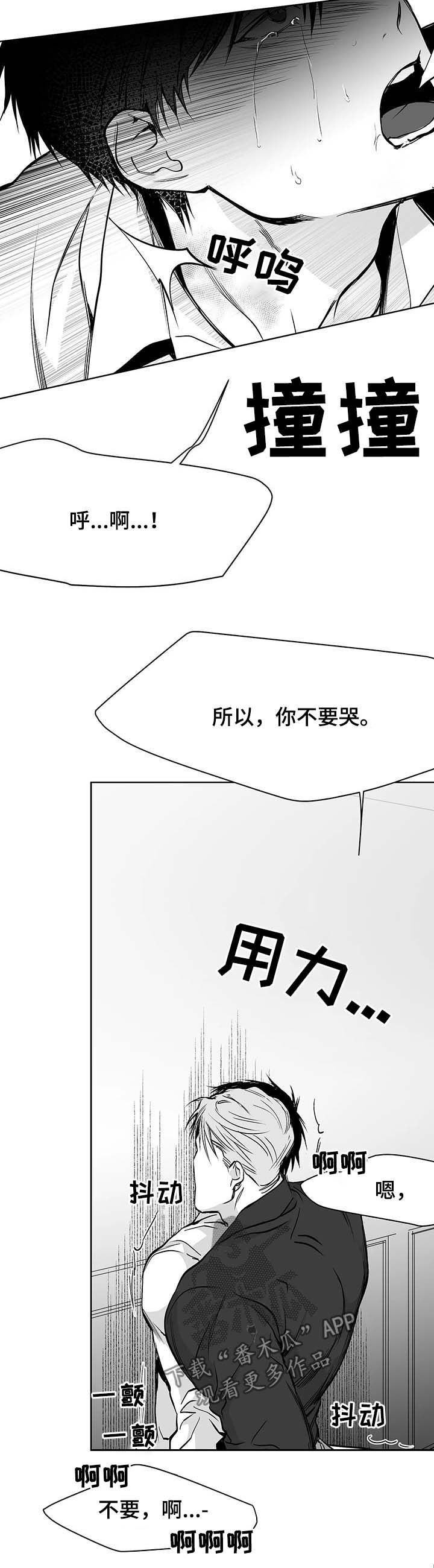 拳击手漫画,第71章：都说不要2图