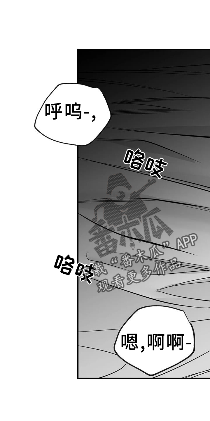 拳击手漫画,第234章：【第三季】表现2图