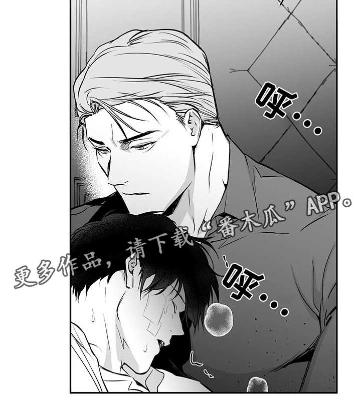 拳击手漫画,第38章：不一样1图