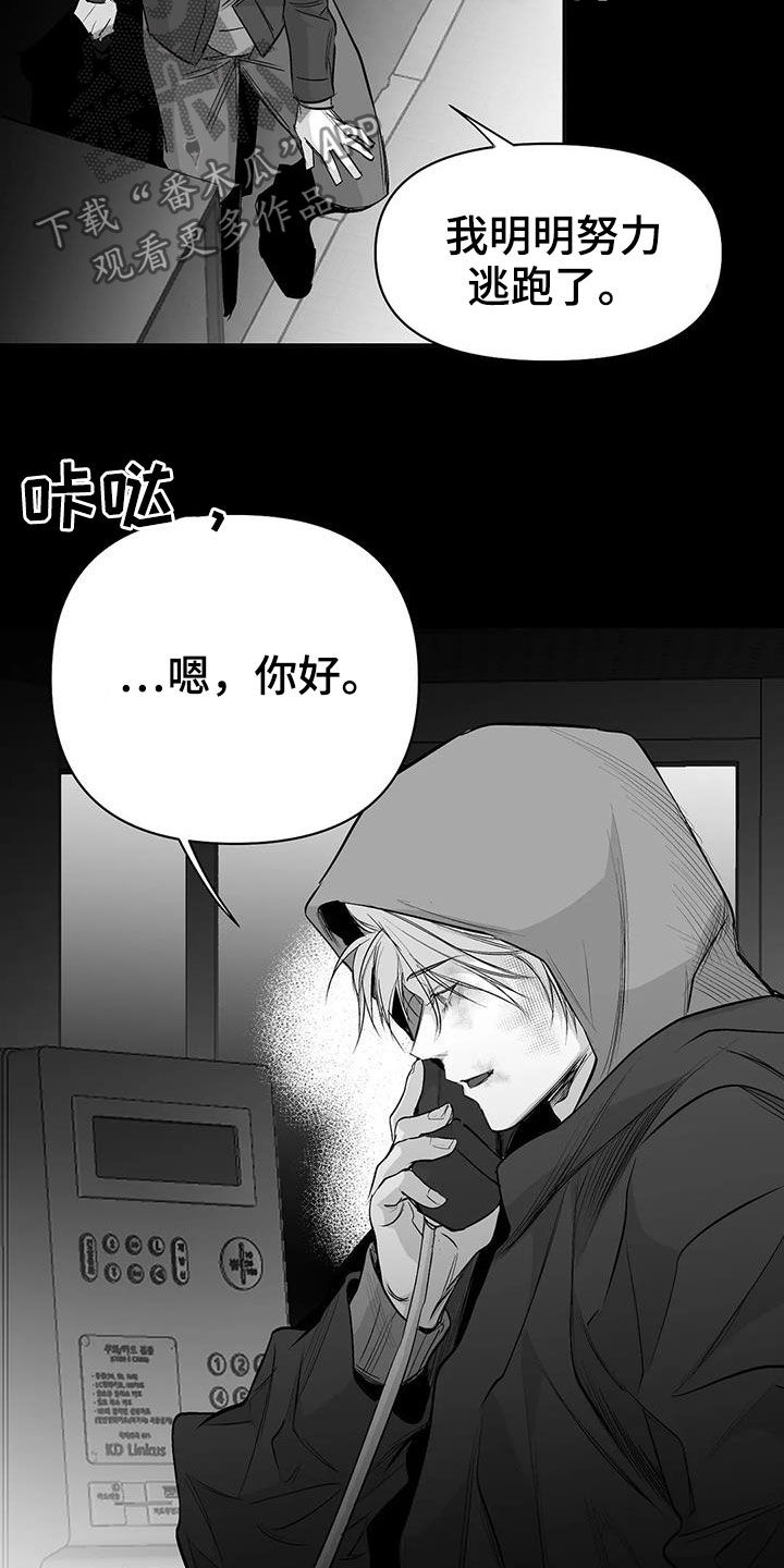 拳击手漫画,第154章：【第三季】联合1图