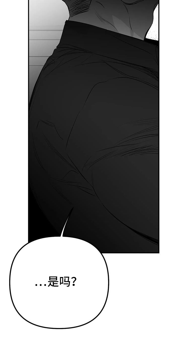 拳击手漫画,第206章：【第三季】耍我啊1图