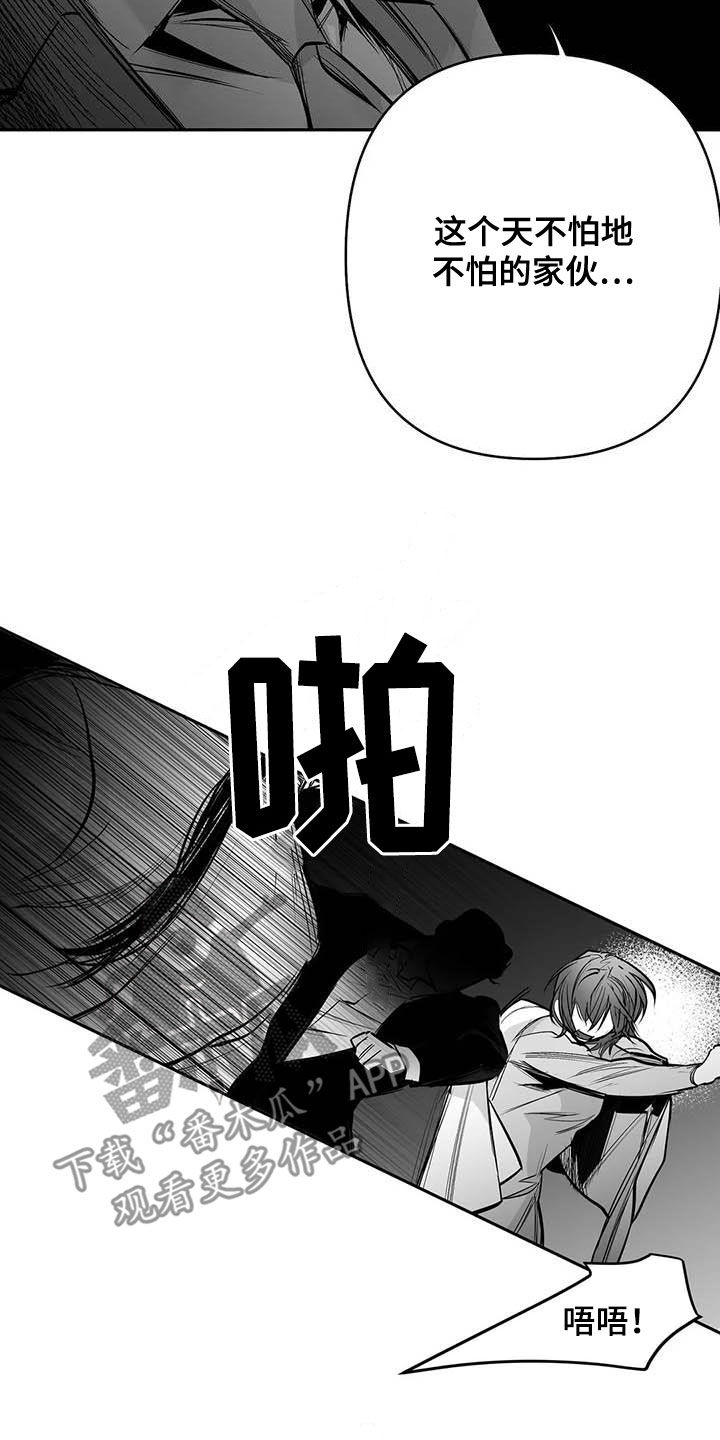 拳击手漫画,第160章：【第三季】亲自收拾1图