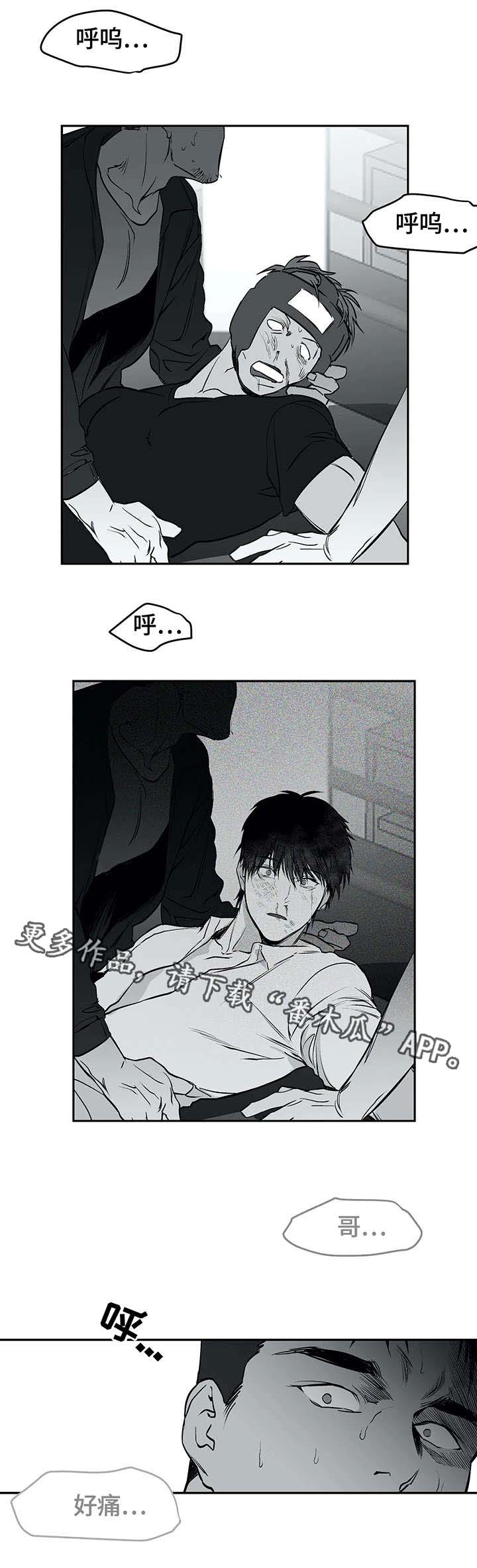 拳击手漫画,第29章：发泄1图