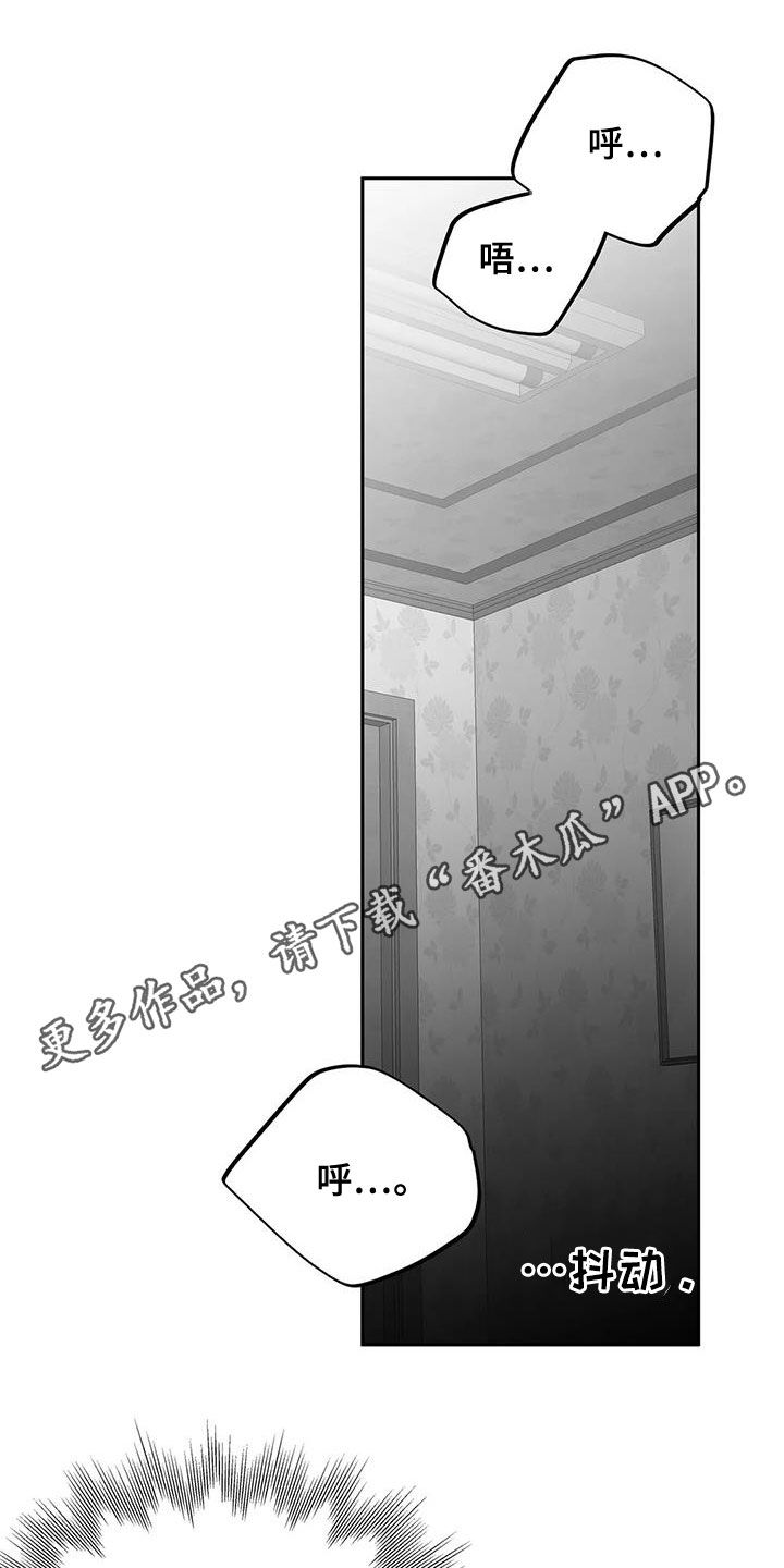 拳击手漫画,第171章：【第三季】期待1图