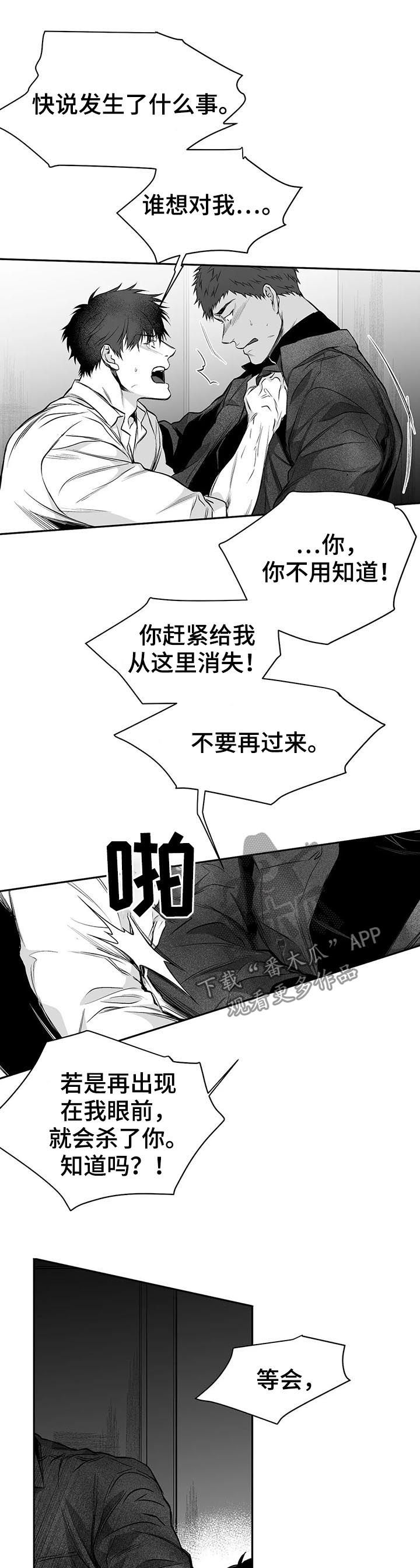 拳击手漫画,第84章：到底怎么回事1图