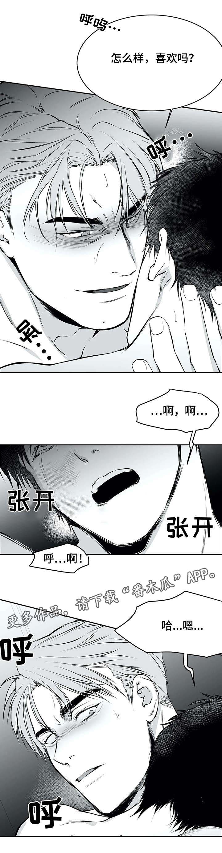 拳击手漫画,第26章：空白1图