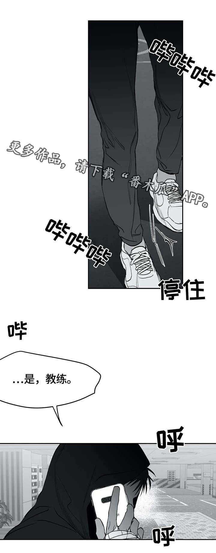 拳击手漫画,第29章：发泄1图