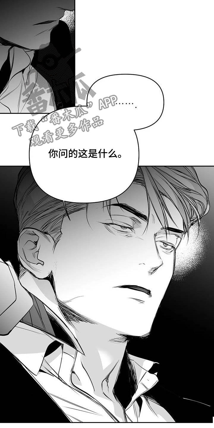 拳击手漫画,第159章：【第三季】拼个你死我活1图