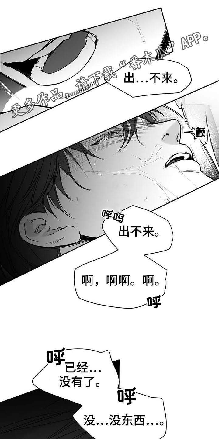拳击手漫画,第113章：【第二季】进一步了解你1图